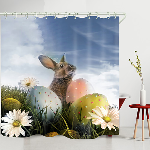 

Shower Curtains & Hooks Modern Polyester New Design