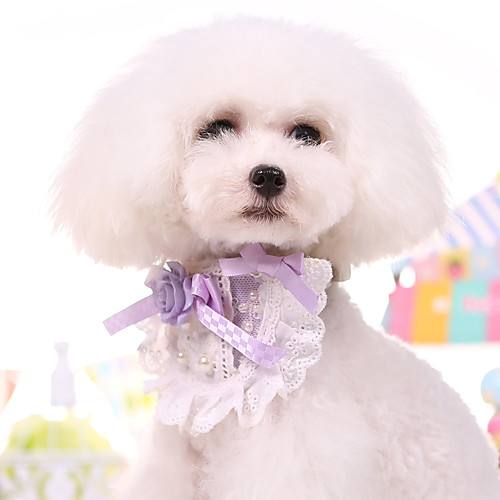 

Dog Cat Collar Foldable Animal Lace PU Leather / Polyurethane Leather Blue Pink