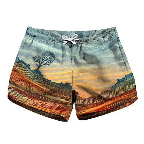 

Women's Stylish Novelty Comfort Leisure Sports Weekend Shorts Pants Graphic Prints Short Sporty Elastic Waist Print Light Blue