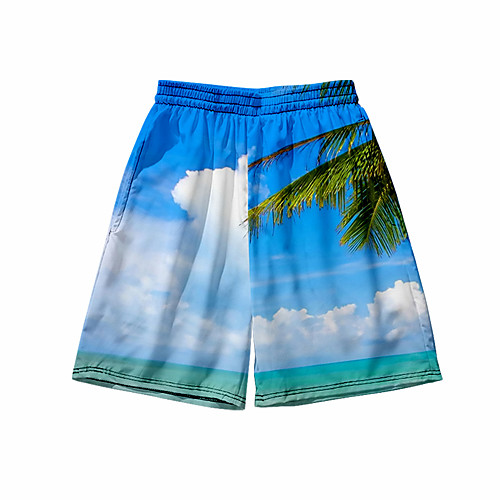 

Men's 3D Print Shorts Daily Holiday Shorts Pants Graphic Graphic Prints Short Sporty Print Blue