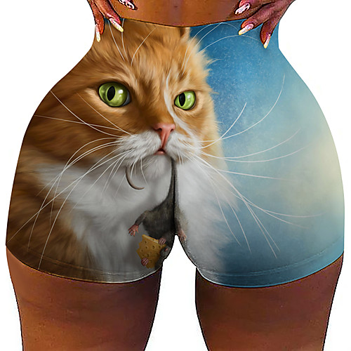 

Women's Colorful Fashion Comfort Holiday Beach Leggings Pants Cat Graphic Prints Animal Short Sporty Elastic Waist Print Blue