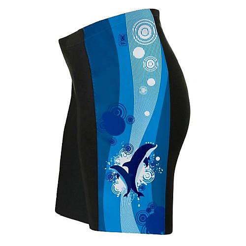 

dancing dolphins cycling shorts for women - size 2xl