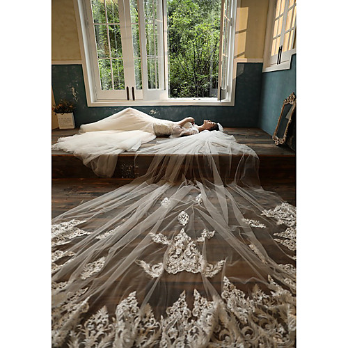 

Two-tier Sweet Style Wedding Veil Cathedral Veils with Embroidery 118.11 in (300cm) Lace