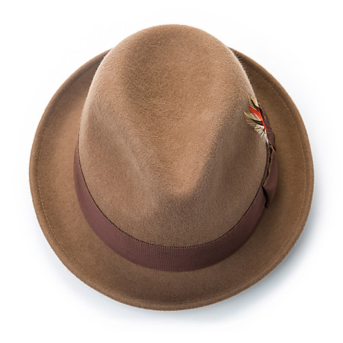 

Solid Color Elegant Wool Hats with Feather / Bowknot 1 Piece Special Occasion / Party / Evening Headpiece