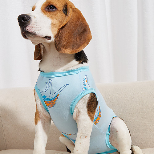 

Dog Surgery Recovery Suit Print Basic Adorable Cute Dailywear Casual / Daily Dog Clothes Puppy Clothes Dog Outfits Breathable Yellow Blue Pink Costume for Girl and Boy Dog Cotton S M L XL XXL