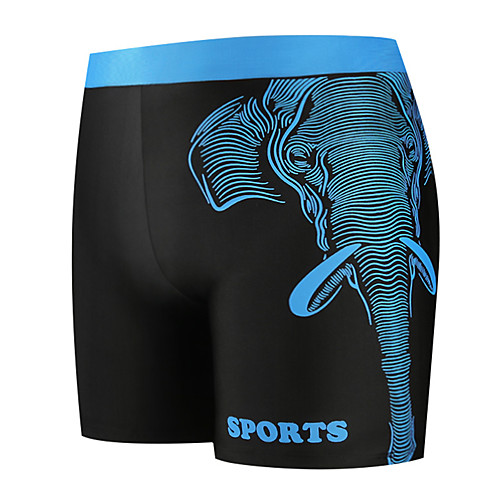 

Men's Swim Shorts Swim Trunks Elastane Board Shorts Breathable Quick Dry Swimming Surfing Water Sports Painting Summer