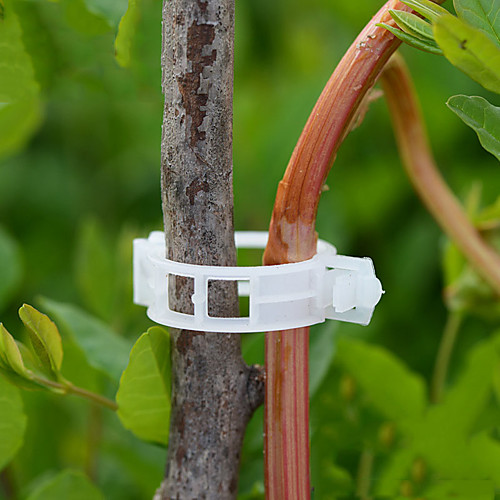 

50pcs Reusable 25mm Plastic Plant Support Clips clamps For Plants Hanging Vine Garden Greenhouse Vegetables Tomatoes