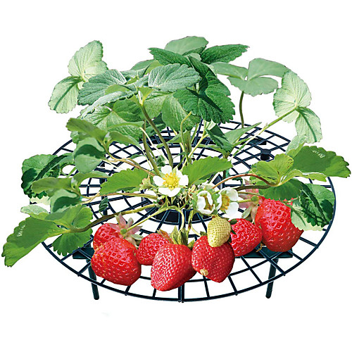 

Strawberry Stand Frame Holder Gardening Stand Plant Tray Rack Fruit Support Plant Flower Climbing Vine Pillar