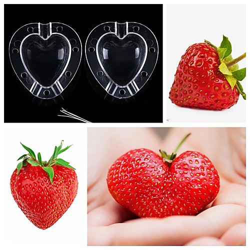 

Mold Growing Heart Shape Fruit Shaping Apple Mould Vegetable Garden Plastic Tool