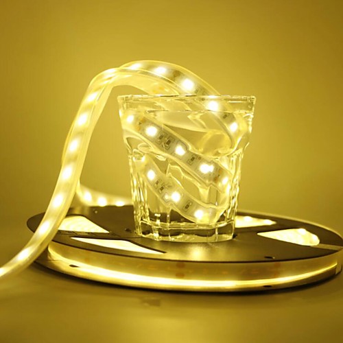 

6M LED Light Strips Flexible Tiktok Lights 360PCS 5050 SMD 12mm LED Single Core Outdoor Waterproof Flexible Tape Rope EU Plug AC 220V