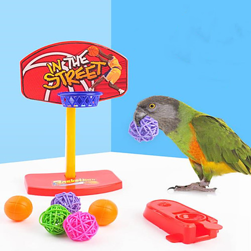 

Toys Parrot Plastics 127.520.2 cm