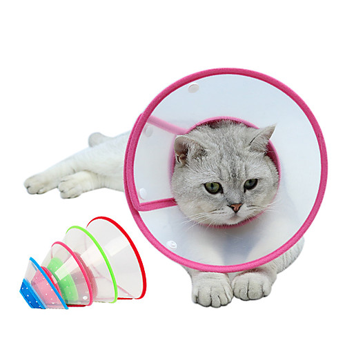 

Dog Cat Pet Cone Pet Recovery Collar Elizabeth circle Adjustable Stress Relieving Safety Anti-Bite Lick Wound Healing After Surgery Protective Walking Solid Colored PP Small Dog Yellow Red Blue Pink