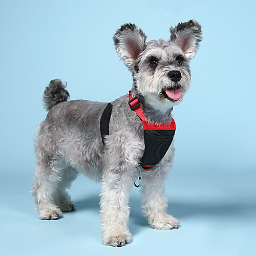 

Dog Pets Mesh Harness Portable Breathable Soft Vest Color Block Polyester PP Dalmatian Bulldog Shiba Inu Schnauzer Dachshund Poodle Red 1pc