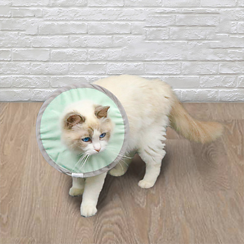 

Dog Cat Pet Cone Pet Recovery Collar Elizabeth circle Adjustable Stress Relieving Safety Anti-Bite Lick Wound Healing After Surgery Protective Walking Solid Colored Nylon Small Dog Green