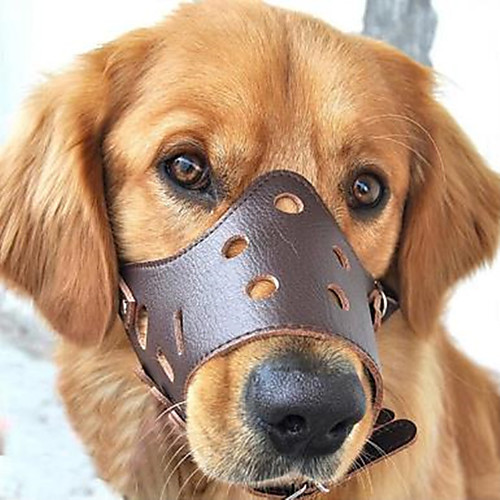 

Dog Training Anti Bark Collar Pet Friendly Dog Breathable Leather For Pets