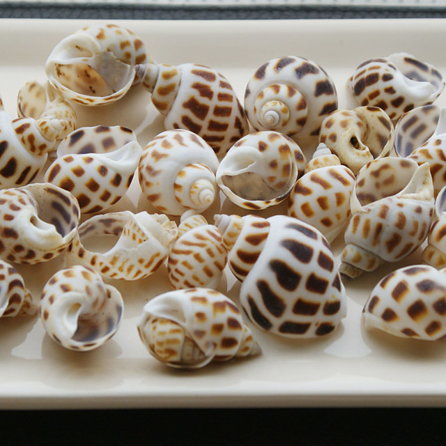 Download Strand tema tabel indretning Free HD Strand Tema Tabel Indretning