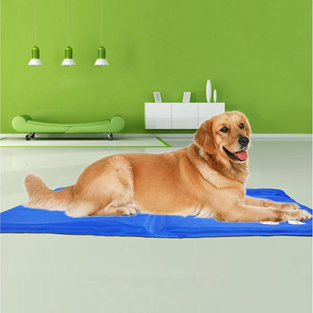Animaux de Compagnie Surmatelas fin de protection Canapé