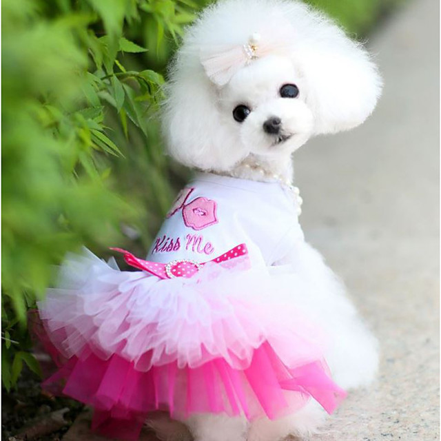 cute puppy outfits