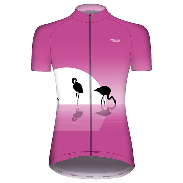 flamingo bike jersey