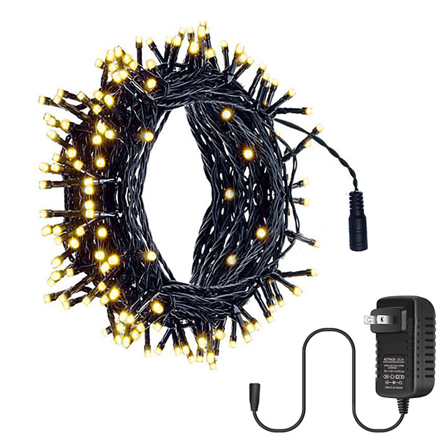 10m 100 LEDs 12V Low Voltage String Lights High Power LED 1 x 12V 2A