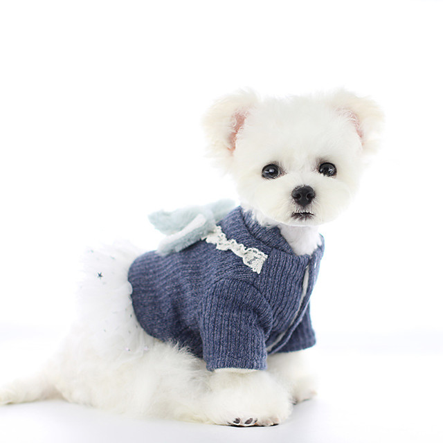 boy dog clothes