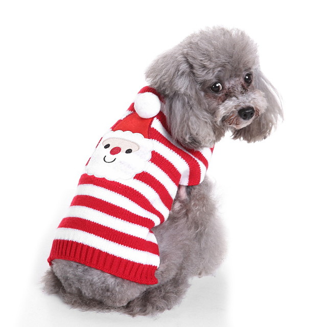 small dog christmas shirt