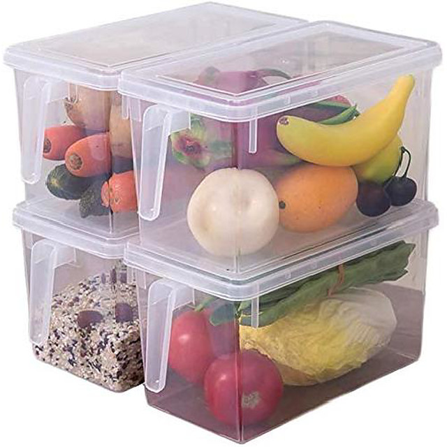food storage box with handle