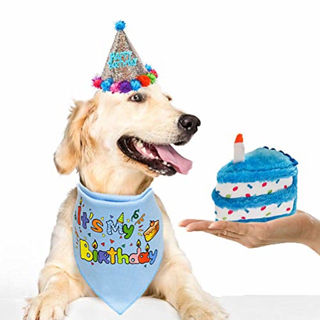 dog birthday bandana set with hat & squeaky cake toy dog