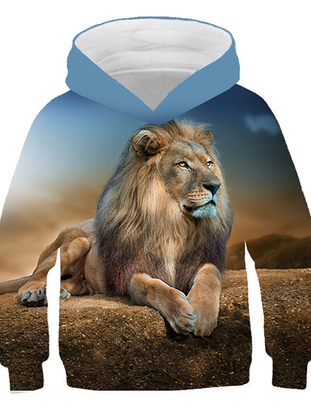 rainbow lion hoodie