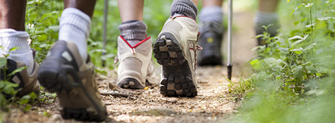 Hiking Shoes New Arrivals