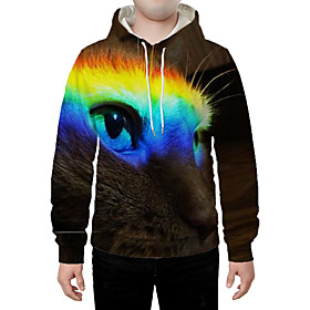 Men's Hoodie Graphic Animal Hooded Daily Going out 3D Print Casual Hoodies Sweatshirts  Rainbow