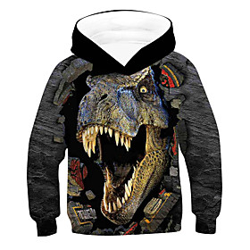 Sweat à capuche et Sweat Garçon Enfants Manches Longues Dinosaure Bloc de Couleur 3D Animal Imprimé Gris Enfants Hauts Actif basique Chic de Rue Le Jour des en