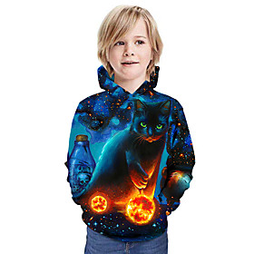 Kids Boys' Hoodie  Sweatshirt Long Sleeve Cat Graphic 3D Animal Print Orange Children Tops Active