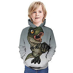Kids Boys' Hoodie  Sweatshirt Long Sleeve Dinosaur Graphic 3D Animal Print Children Tops Active Gray