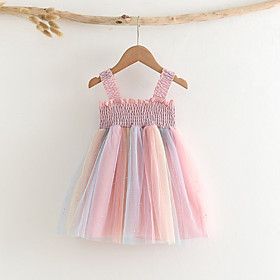 Kids Little Girls' Dress Patchwork Sundress Mesh Patchwork Blushing Pink Sleeveless Basic Cute Dresses Regular Fit