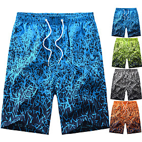 Men's Swim Shorts Swim Trunks Board Shorts Quick Dry Swimming Surfing Water Sports Painting Summer