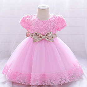 Baby Girls' Basic Butterfly Solid Colored Mesh Bow Short Sleeve Knee-lengthFlower Tulle Dress White Red Blushing Pink