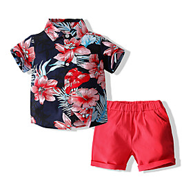 Kids Boys' Shirt  Shorts Clothing Set 2 Piece Short Sleeve Blushing Pink Tropical Leaf Sun Flower Red Floral Print Daily Wear Festival Basic 2-6 Years