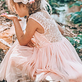 Kids Little Girls' Dress Sundress Solid Colored Strap Dress Party Wedding Daily Backless Lace Blushing Pink Gray White Knee-length Sleeveless Princess Dresses