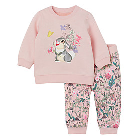 Kids Girls' Sweatshirt  Pants Clothing Set 2 Pieces Long Sleeve Blushing Pink Rabbit Floral Animal Print Casual / Daily Home Basic Cute Regular 3-8 Years