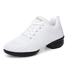 Women's Dance Sneakers Sneaker Thick Heel Round Toe White Black Lace-up Adults'