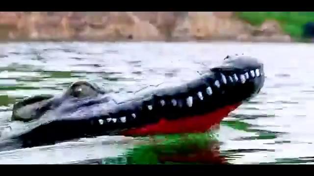 play video