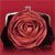 Handbags Special