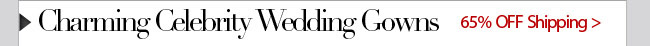 Charming Celebrity  Wedding Gowns