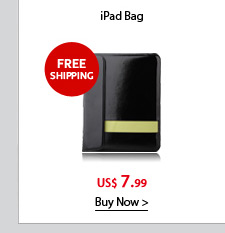 iPad Bag