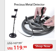 Precious Metal Detector