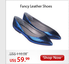 Fancy Leather Shoes