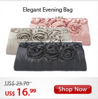 Elegant Evening Bag