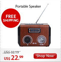 Portable Speaker