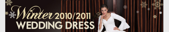 Winter 2010/2011 Wedding Dress
